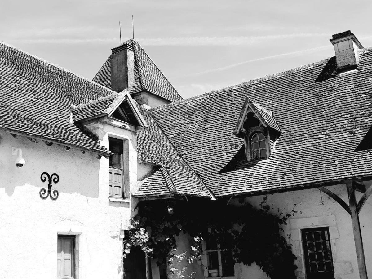 Le Manoir De Pierre Levee, The Originals Collection Hotel Tournon-Saint-Martin Екстериор снимка